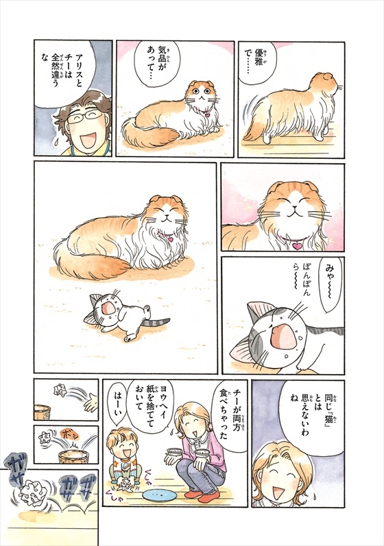 チーズスイートホーム