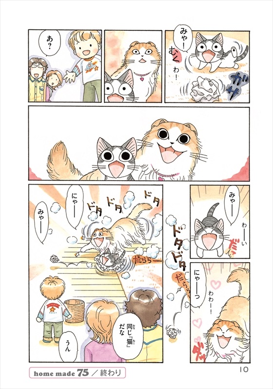 チーズスイートホーム