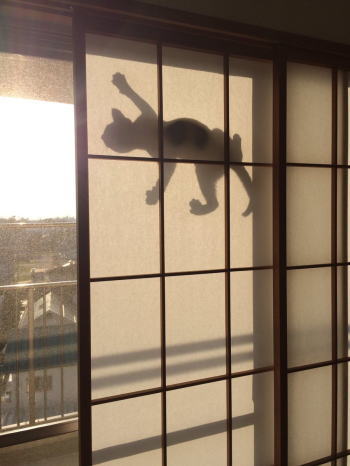 シルエットねこ