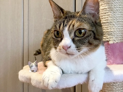 ねとらぼ生物部編集長