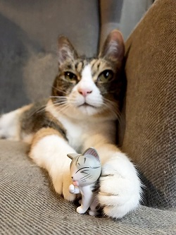 ねとらぼ生物部編集長