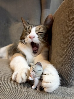 ねとらぼ生物部編集長