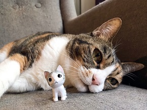 ねとらぼ生物部編集長