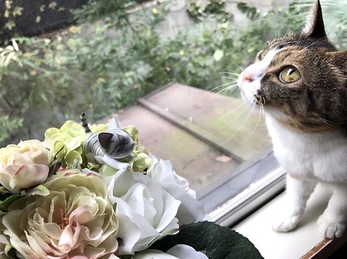 ねとらぼ生物部編集長