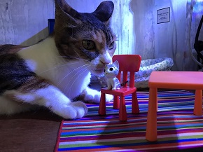 ねとらぼ生物部編集長