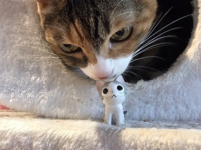 ねとらぼ生物部編集長