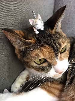 ねとらぼ生物部編集長