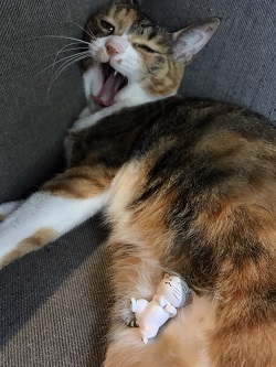 ねとらぼ生物部編集長