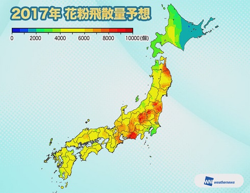 花粉　飛散　表年