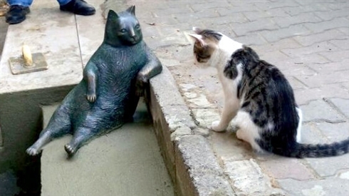ハチ公先輩に負けじと街を見守るニャン！　トルコの名物猫、銅像になる