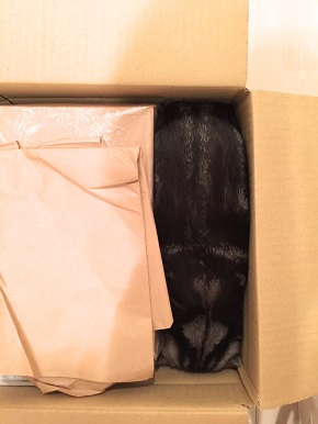 緩衝材　猫　ネコ