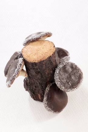 イワサキ・ビーアイ 社内コンクール