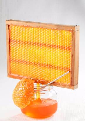 イワサキ・ビーアイ 社内コンクール