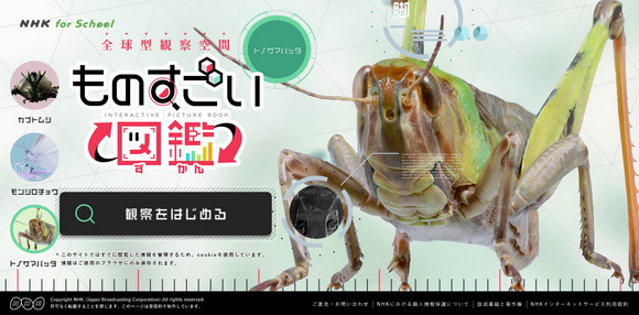 トノサマバッタ