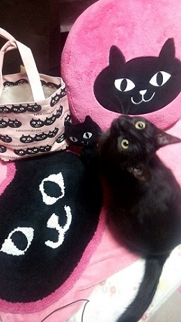 ねとらぼ生物部編集長