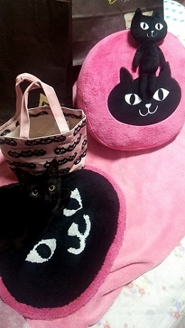 ねとらぼ生物部編集長