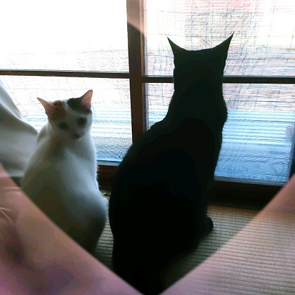 ねとらぼ生物部編集長