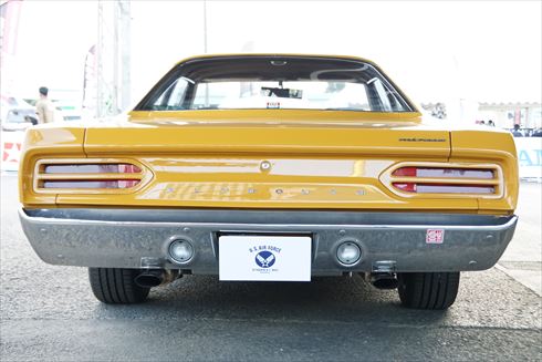 所さんの世田谷ベース アメリカン・ピクニックデイ2016