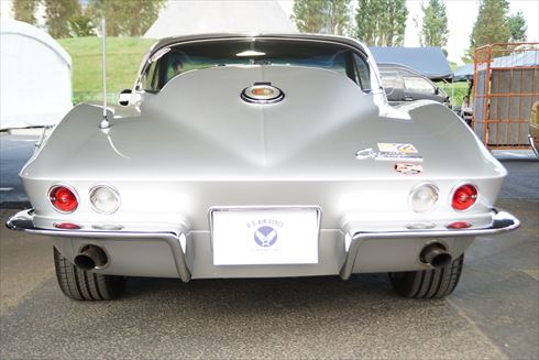 所さんの世田谷ベース アメリカン・ピクニックデイ2016