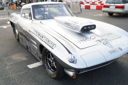 所さんの世田谷ベース アメリカン・ピクニックデイ2016