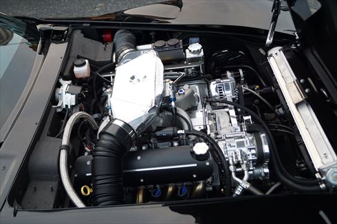 所さんの世田谷ベース アメリカン・ピクニックデイ2016