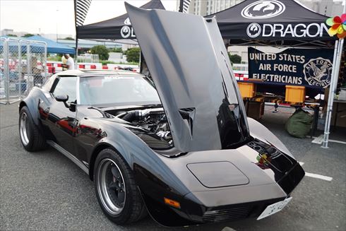 所さんの世田谷ベース アメリカン・ピクニックデイ2016