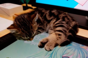 自作 液タブ デスク 机 DIY TAQRO