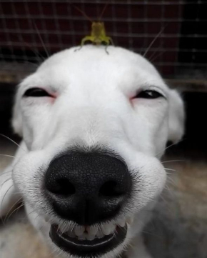 笑顔