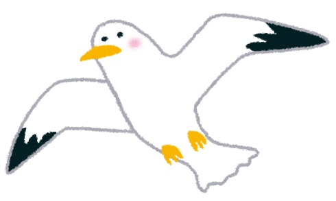 サッカー 日豪 カモメ