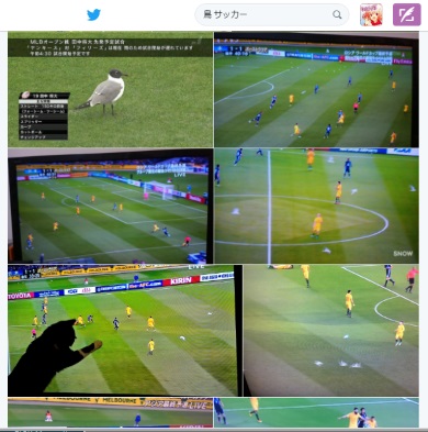 サッカー 日豪 カモメ