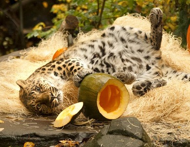 オレゴン動物園