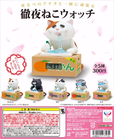 徹夜ねこウォッチ