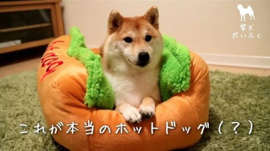 だいふく