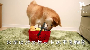 だいふく