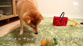 だいふく