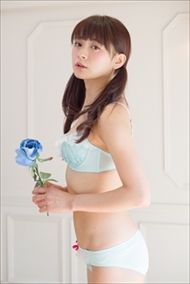 初音ミク・ランジェリー