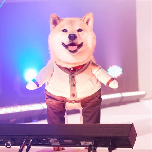 柴犬まるモデル