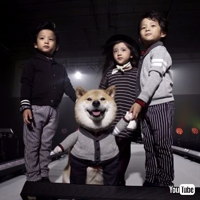 柴犬まるモデル