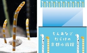 チンアナゴの日