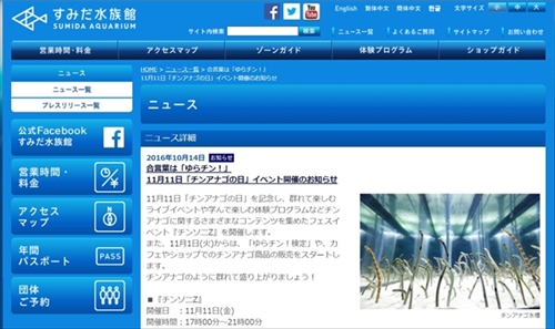 チンアナゴの日