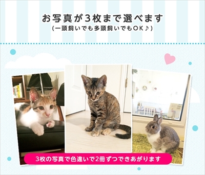 うちの子メモセット