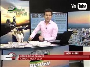 トルコのニュース番組に野良猫乱入。のびのびとくつろぐ