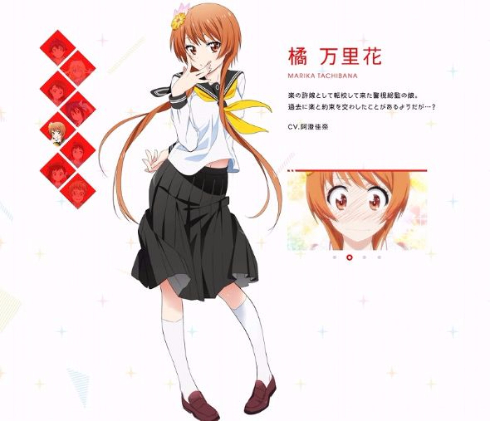 ニセコイ　千葉県のYさん