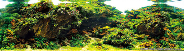 世界水草レイアウトコンテスト アクアデザインアマノ 水槽 水草 2016 受賞作品