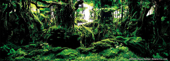 世界水草レイアウトコンテスト アクアデザインアマノ 水槽 水草 2016 受賞作品
