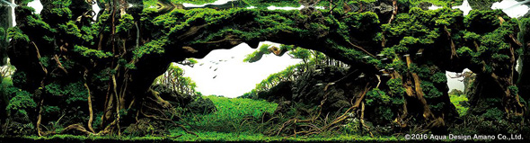 世界水草レイアウトコンテスト アクアデザインアマノ 水槽 水草 2016 受賞作品