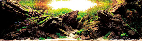 世界水草レイアウトコンテスト アクアデザインアマノ 水槽 水草 2016 受賞作品