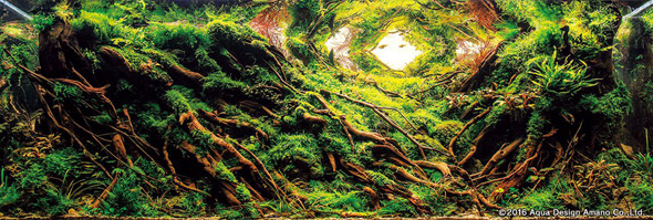 世界水草レイアウトコンテスト アクアデザインアマノ 水槽 水草 2016 受賞作品