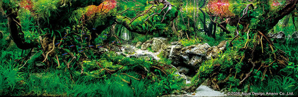 世界水草レイアウトコンテスト アクアデザインアマノ 水槽 水草 2016 受賞作品