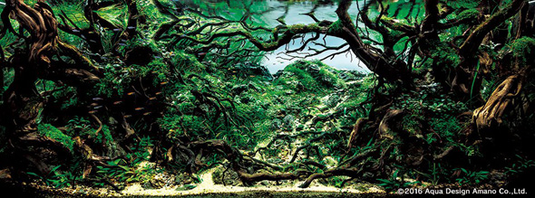世界水草レイアウトコンテスト アクアデザインアマノ 水槽 水草 2016 受賞作品